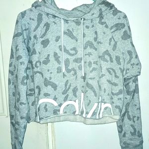 Calvin Klein Cropped Hoodie